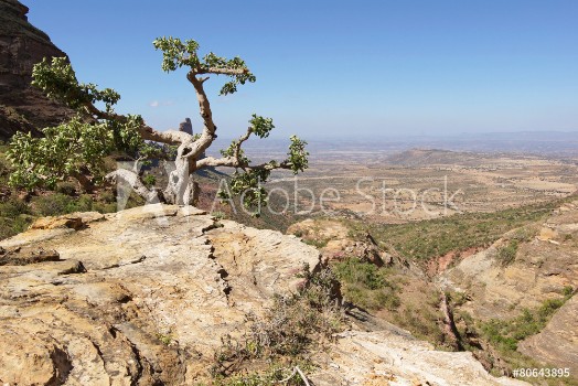 Picture of Landschaft von Tigray thiopien Afrika